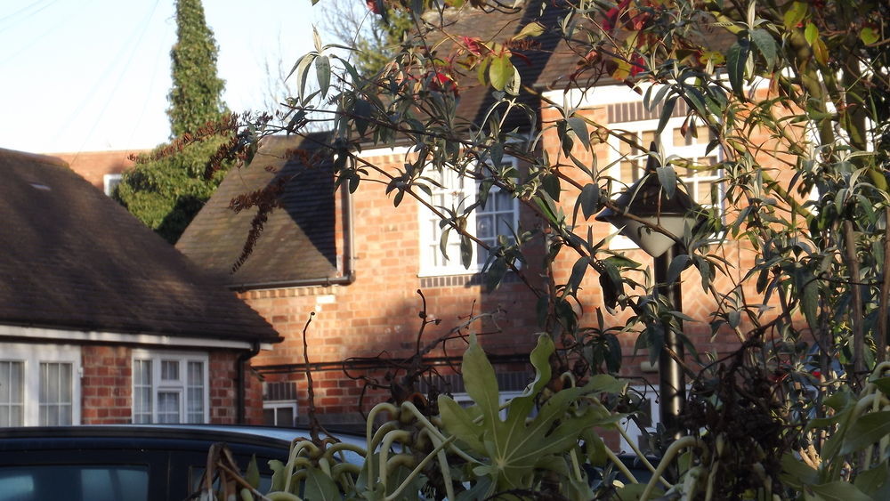 The Peacock Townhouse Hotel Kenilworth - Warwick Екстер'єр фото